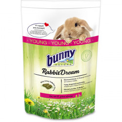 Bunny Nature Rabbit Dream Young