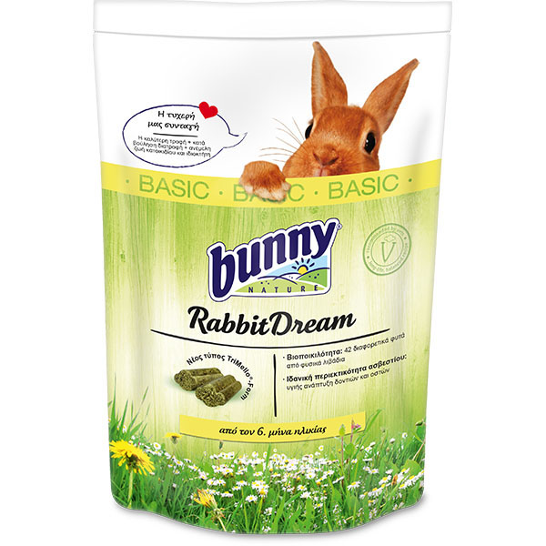 Bunny Nature Rabbit Dream Basic