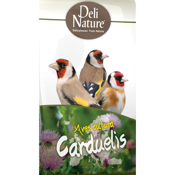 Deli Nature Aves Cultura Carduelis Goldfinches