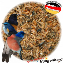 Hungenberg Insect Mix