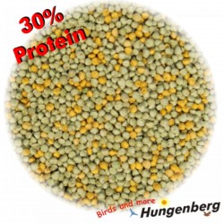Hungenberg Extro PRO 30 green yellow