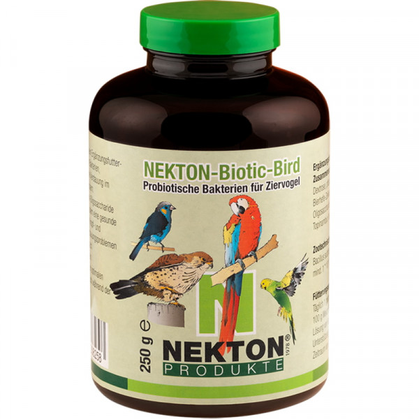 Nekton biotic bird