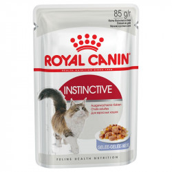 ROYAL CANIN ADULT INSTICTIVE IN JELLY