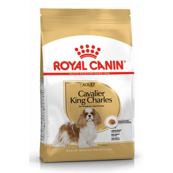 ROYAL CANIN CAVALIER KING CHARLES Adult