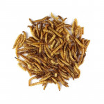 CLAUS DRIED MEALWORMS 75gr