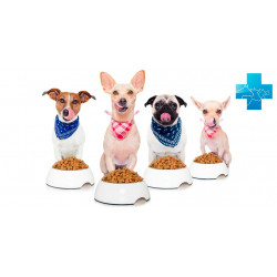 Κλινικές Τροφές Σκύλου