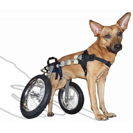 Αναπηρικά Αξεσουάρ αμαξίδια σκύλου