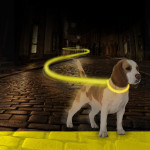 Duvo+Περιλαίμιο Σκύλου Flash Light Collar USB Nylon (Κίτρινο) 30-40 cm/2.5cm