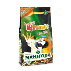 Manitoba Tropical Big Parrots