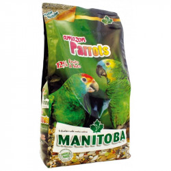 Manitoba Amazon Parrots