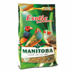 Manitoba Exotic Best Premium – Πλήρες Μείγμα Σπόρων για Παραδείσια