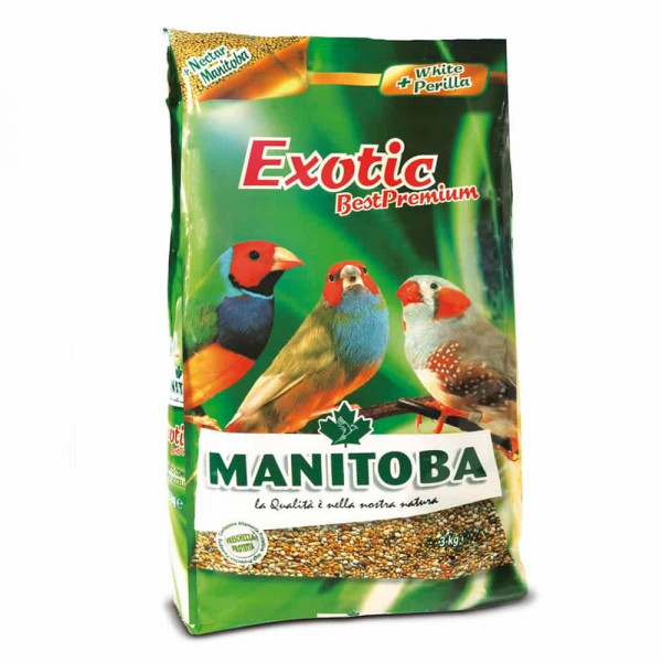 Manitoba Exotic Best Premium – Πλήρες Μείγμα Σπόρων για Παραδείσια