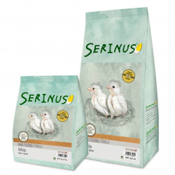 Serinus Hand Feeding White Canaries για τάισμα με σύριγγα νεοσσών σε λευκά καναρίνια 