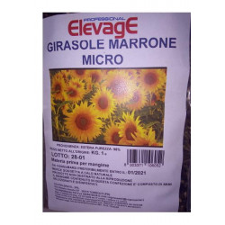 Elevage - Girasole Marrone Micro (Ηλιόσπορο Micro) 1kg
