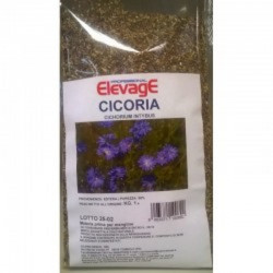 Elevage Cicoria (ραδίκι) 1kg